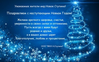 С наступающим Новым Годом!